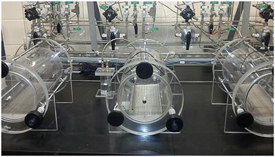 The Influence of CO2 and Exercise on Hypobaric Hypoxia Induced Pulmonary Edema in Rats